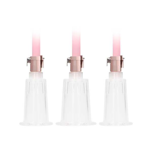 Pumped: Clitoral & Nipple Pump Set Rosa Large