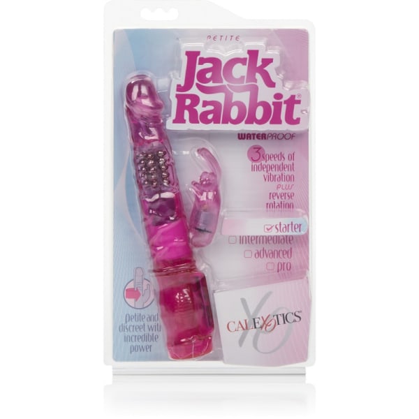 California Exotic: Petite Jack Rabbit Rosa