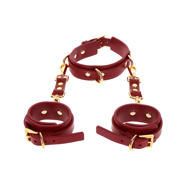 Taboom Luxury: D-Ring Collar Deluxe & Wrist Cuffs Guld, Röd
