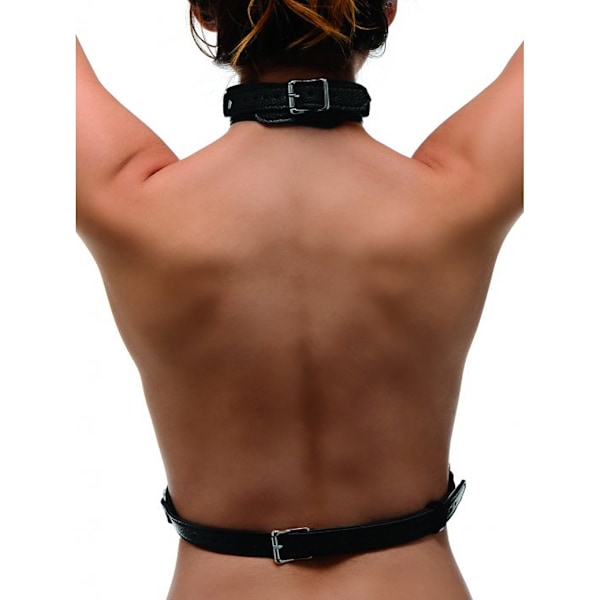 Strict: Female Chest Harness Svart M/L