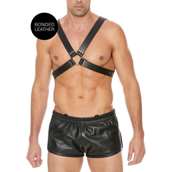 Ouch!: Men's Large Buckle Harness, One Size Svart one size