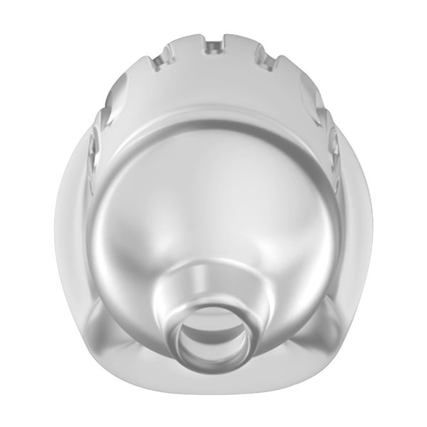 ManCage: Model 29, TPE, transparent Transparent