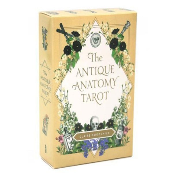 Antique Anatomy Oracle Tarot Card Spådomskort