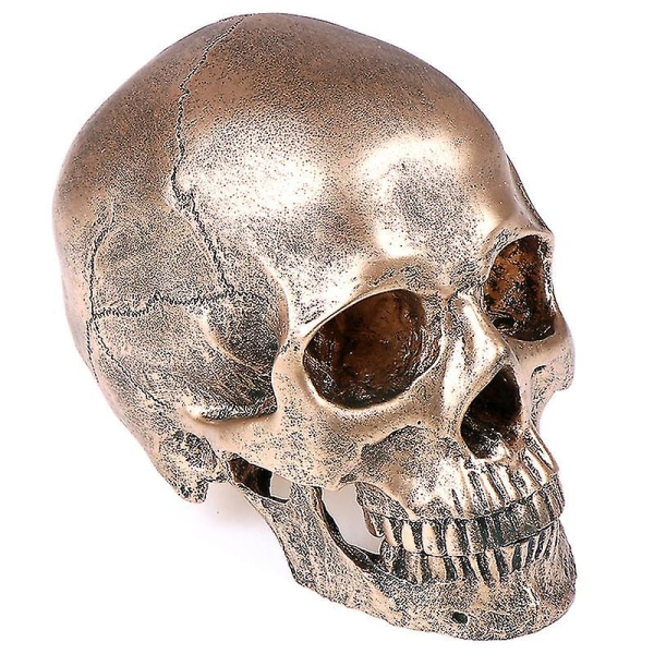 Human Bronze Resin Skull Model Medical Halloween Realistic 1 1 Staty Decor Gold 1 Pcs