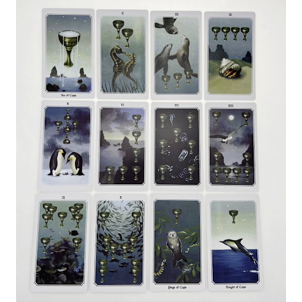 10.3*6 anima mundi tarotkort Divination Cards