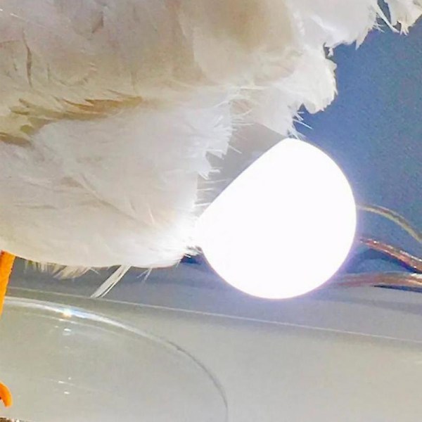 Chicken Egg Lamp Tupp Egg Led Nattljus USB Resin Bordslampa Sovrum Vardagsrum Skrivbord Nordiska prydnader Heminredning null none