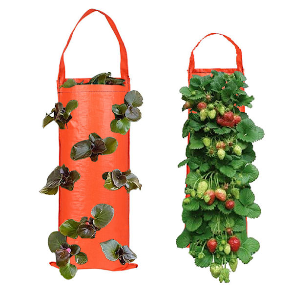 Tyg jordgubbar hängande plantering släpande växter växa påse - on stock orange 4 Pockets