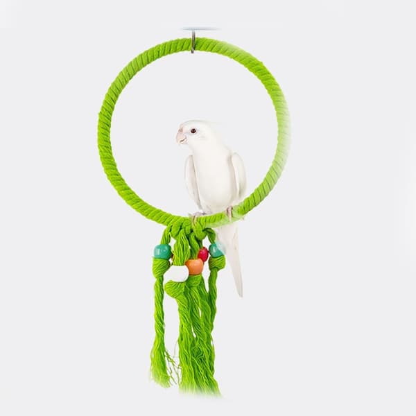 Birdcage Parrot Swing Parrot Ring - varastossa