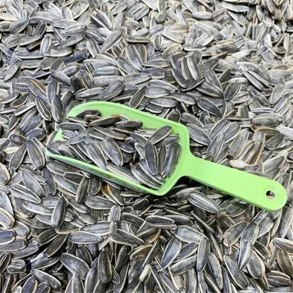 Kaffebönsskyffel Ice Scoop BLÅ - on stock Blue