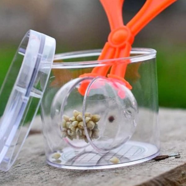 5st Insect Catcher Capture BLÅ1 - on stock Blue1