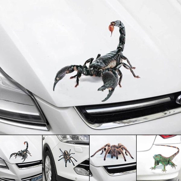 3D-autotarra Auto Decor Spider Crawling BLACK SPIDER - on stock Black spider