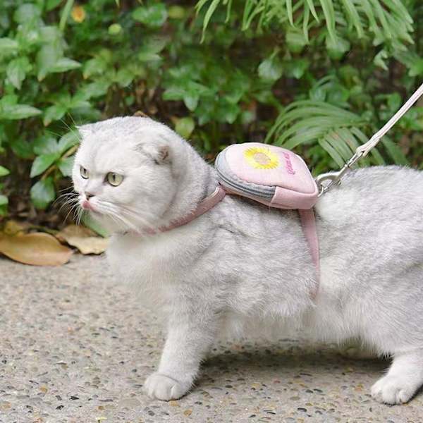 Koiran itsereppu Pet reppu KELTAINEN - varastossa yellow M