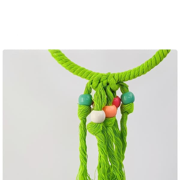 Birdcage Parrot Swing Parrot Ring - varastossa