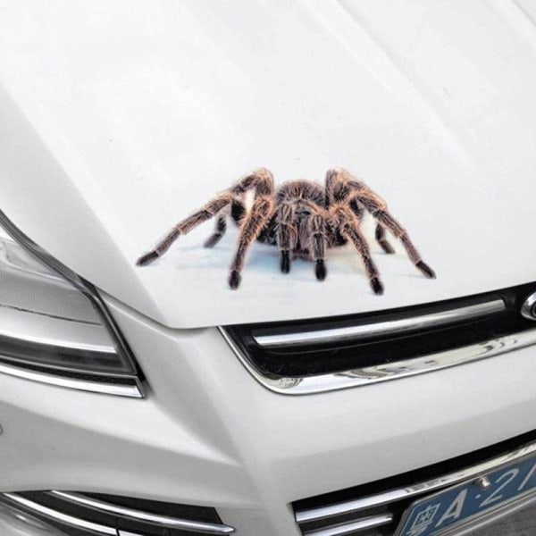 3D autotarra Auto Decor Spider Crawling BLACK SPIDER - varastossa Black spider