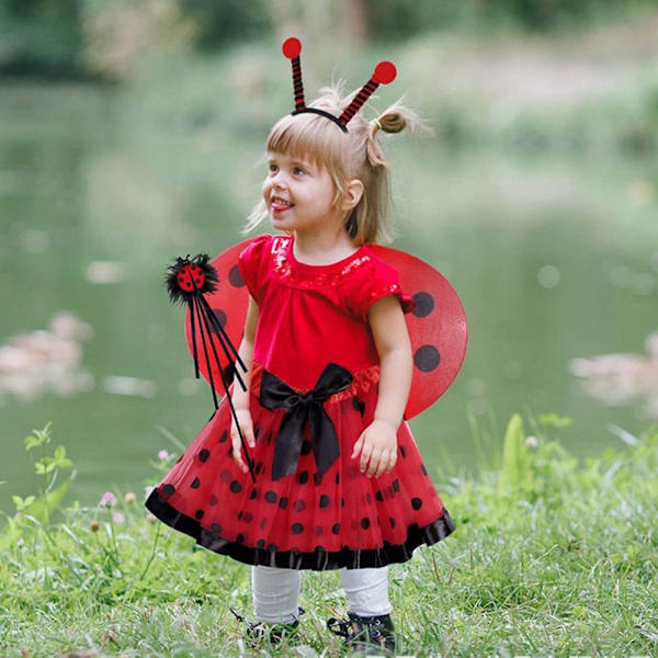 Ladybug Wings Kostym Fairy Wings Performance rekvisita - spot försäljning