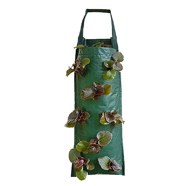 Tyg jordgubbar hängande plantering släpande växter växa påse - stock green 4 Pockets