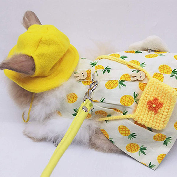 Bunny Rabbit sele och koppel kläder för gris sele väst - high quality M