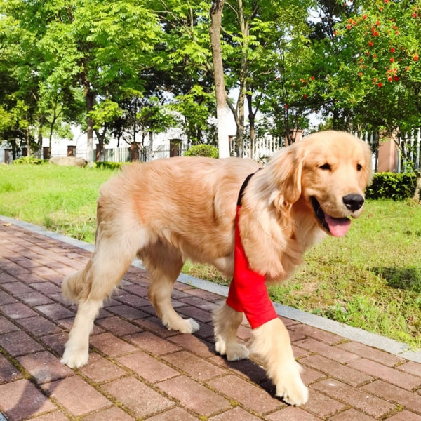 Dog Armbow Brace Anti-Lick RED XXL - varastossa red XXL