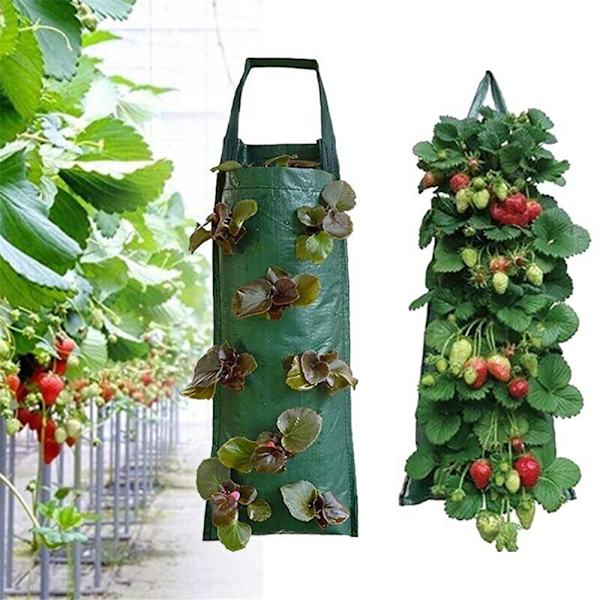 Tyg jordgubbar hängande plantering släpande växter växa påse - stock green 4 Pockets