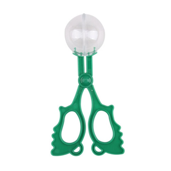 5st Insect Catcher Capture GRÖN - on stock Green