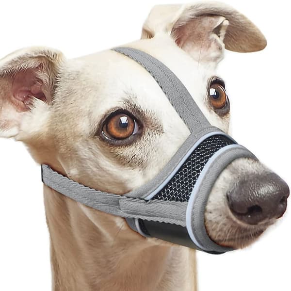 Hund Munstycke Hundmunstycke GRÅ - stock grey S