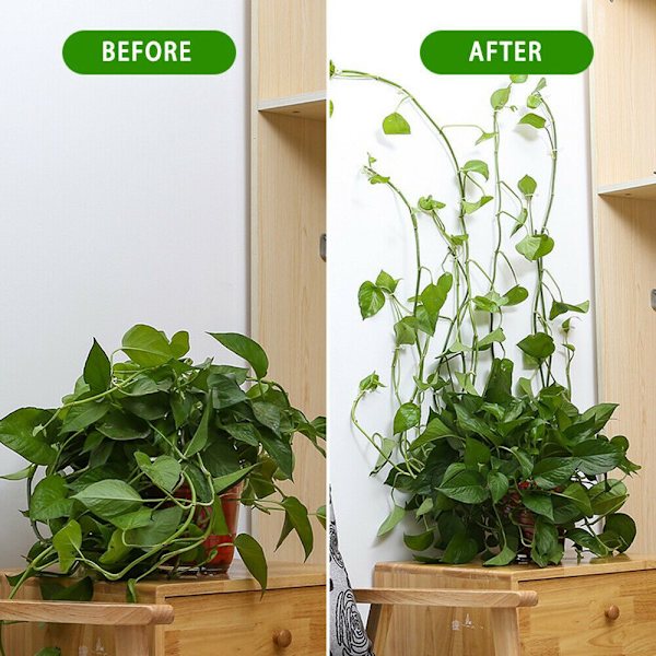 Plant Clip Rotting Clamp Wall Vines V-Vines - stock S-10pcs