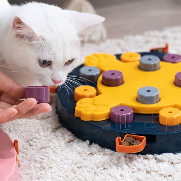 Hundpusselleksaker Matläckage Lek BLÅ TYP 2 - on stock blue type 2-type 2