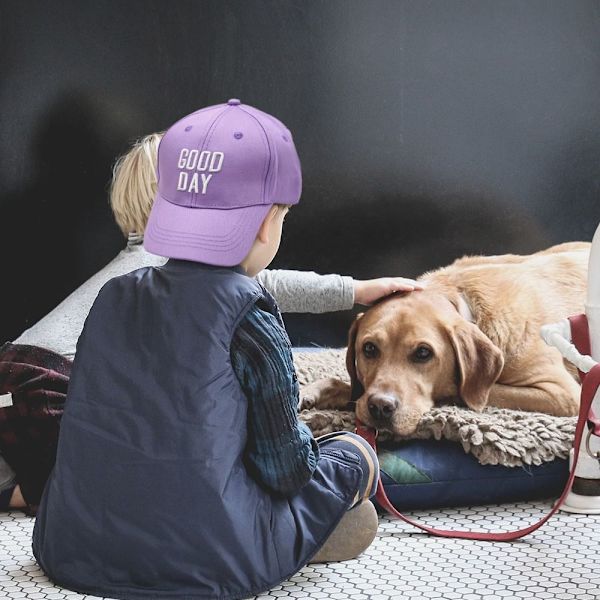 Baseball Kepsar Hip Hop Hat LILA - spot försäljning