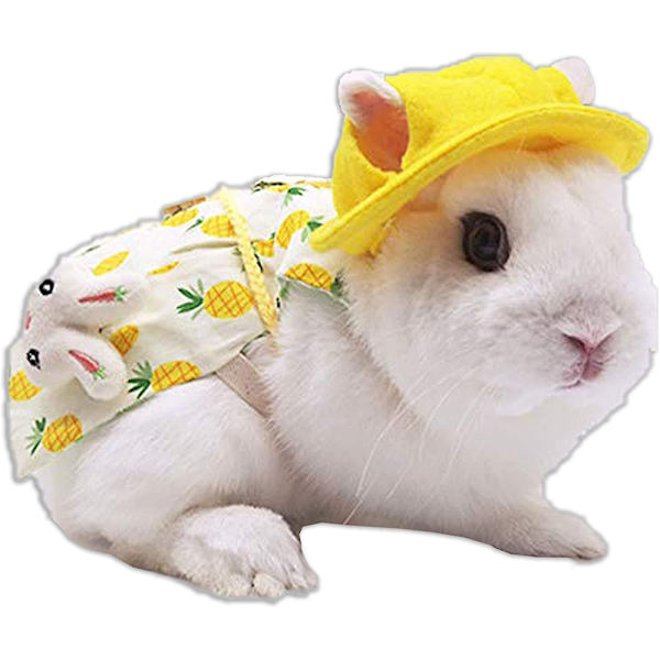 Bunny Rabbit sele och koppel kläder för gris sele väst - high quality M