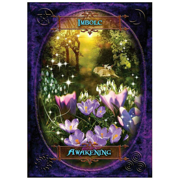 Witches Wisdom Oracle-kort En 47-korts set - spot försäljning