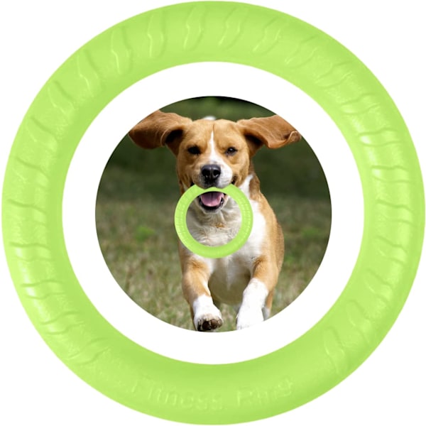 Tuggande ring interaktiv träningsring hund leksak frisbee flytande
