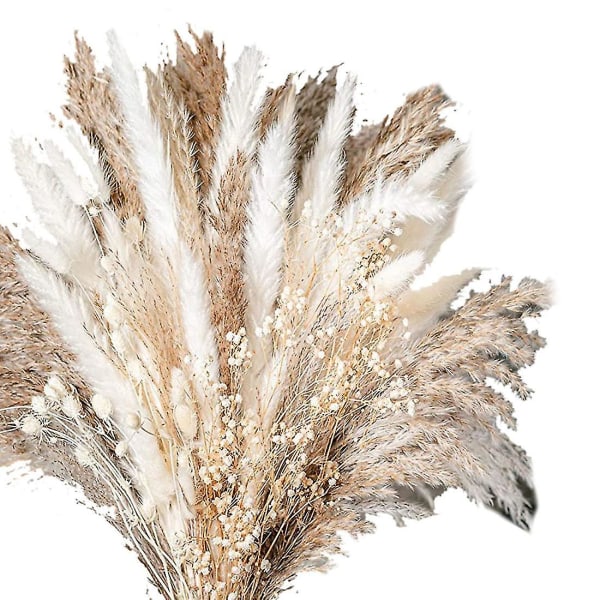 100pcs Natural Dried Pampas Grass Bouquet Dried Flower Compa