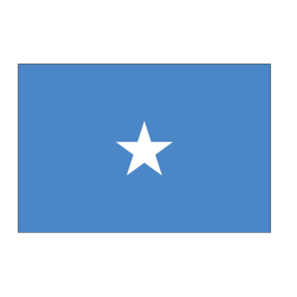 Somalia flagg Hvit