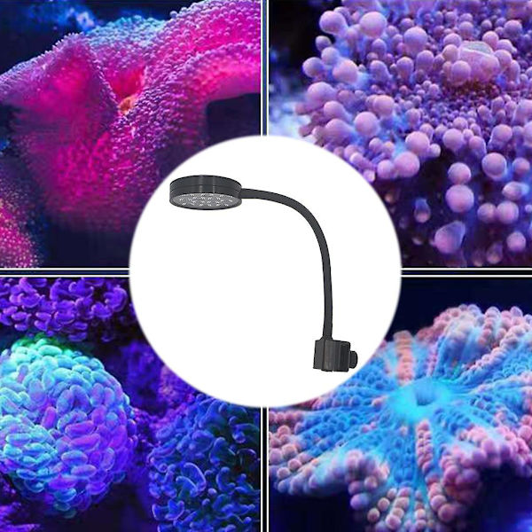 Akvarie Reef Led Lys Fisk Til Tank Marine Saltvand Havvand Koraller Lys