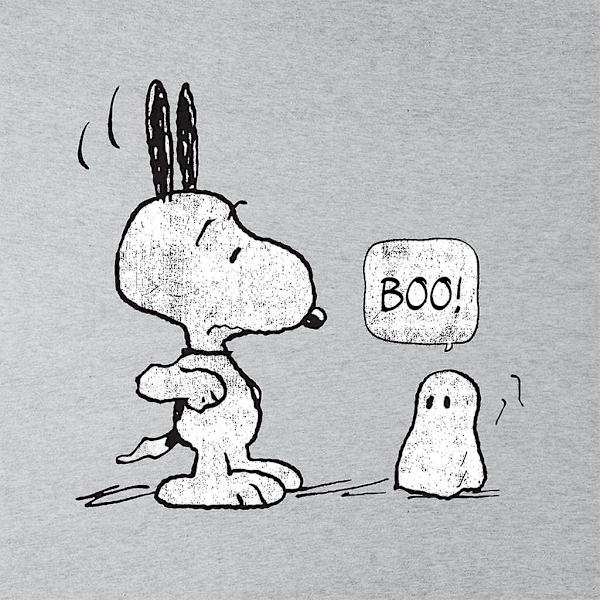 Peanuts Halloween Ghost Fright Snoopy Miesten Paita Heather Grey Small