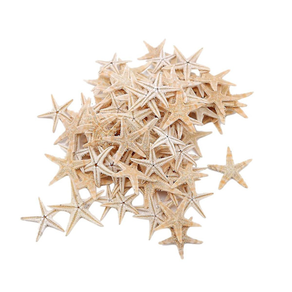 100 stk Naturlige Søstjerner Skaller Strand Håndværk Diy Strand Håndværk 1-5cm