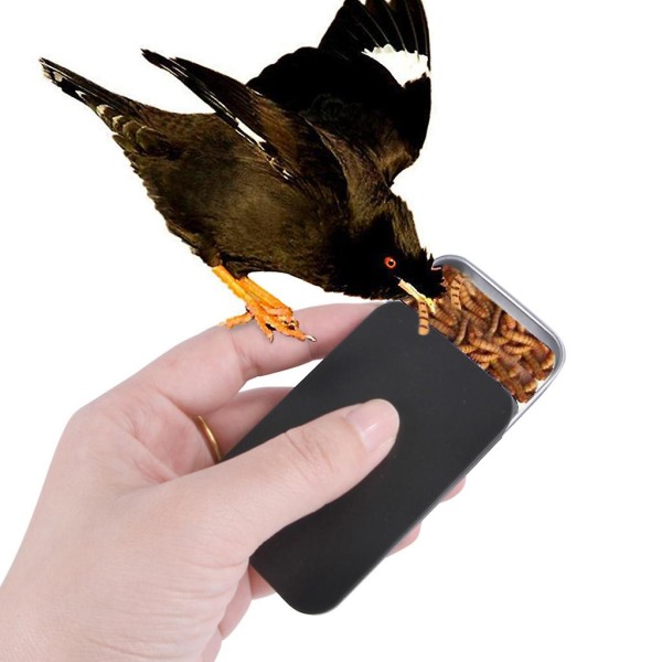 Papegøye håndholdt mater Små sorte metallkrukker Pedagogisk Iq Treat Toy