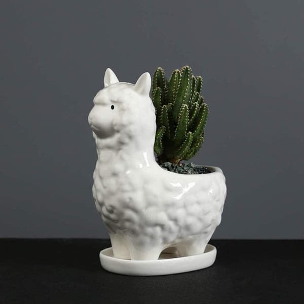 Söt Alpacka Succulent Planter med Dräneringsbricka, Vit Cera