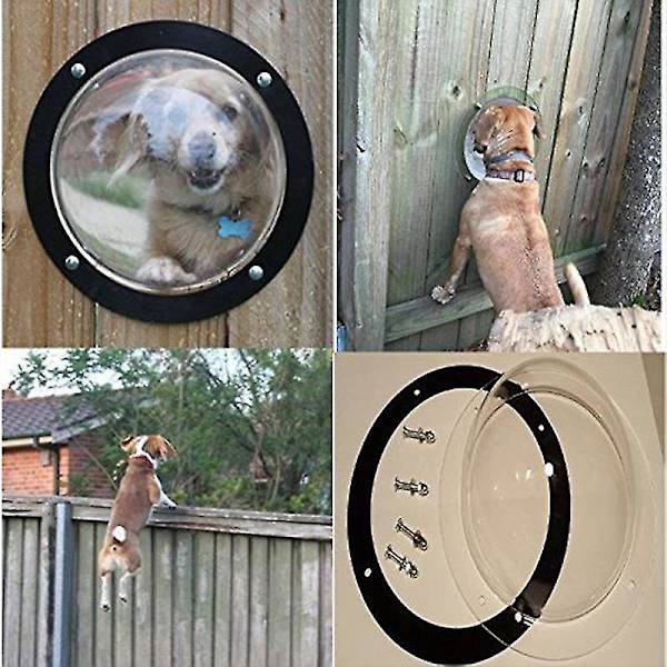 Kuppelvindue til kæledyr Transparent akryl Halvcirkelformet dæksel Kæledyrshegnsvindue til katte og hunde