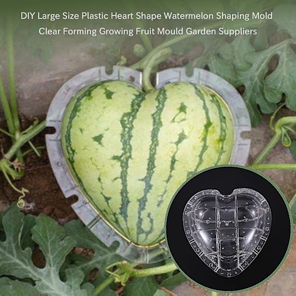 Diy Størrelse S Waton Sha Form Klar Formning Voksende Frugtform En Suppl