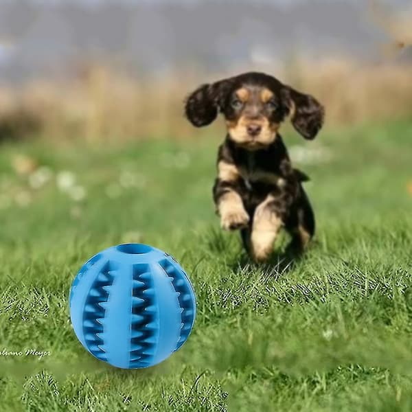 1 Pet Chew Ball Blå S