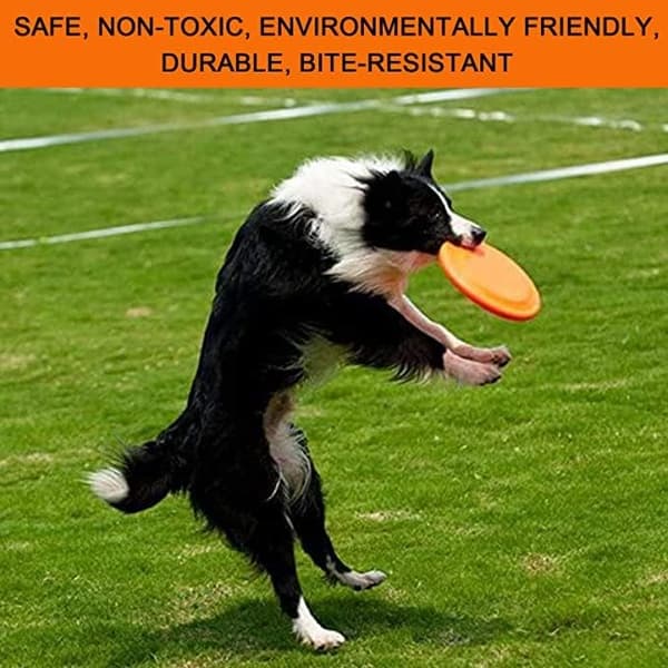 Koirafrisbee, kumifrisbee, koirafrisbeelelu, lemmikkifrisbee, D