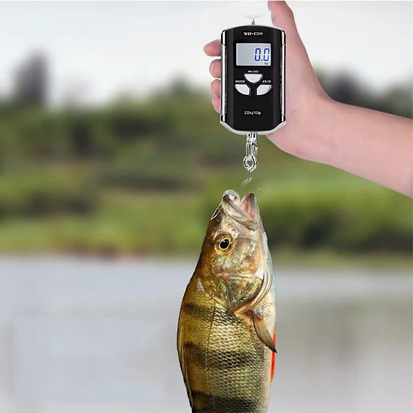 Digital hängande våg 200kg/ 440lb Bärbar kranvåg Lcd-bakgrundsbelysning Stålkroksvågar för gårdsfiske Jaktlivsmedelsmarknad Utomhusarbete