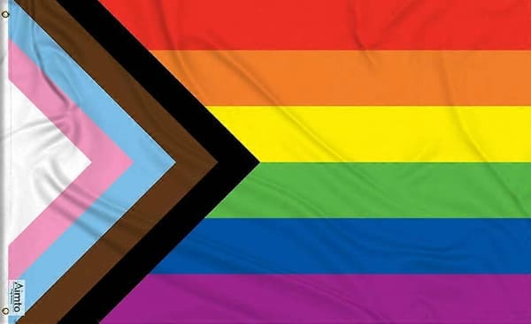 90x150cm (3x5 fod) Progress Pride Flag Regnbueflag