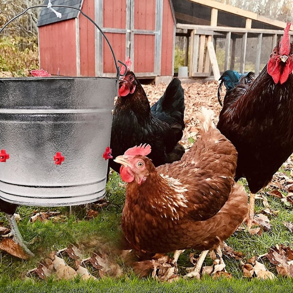 10 stk. Kyllingefoder til vandnippel, automatisk kyllingedrik, kyllingedrik i plastikvandskål