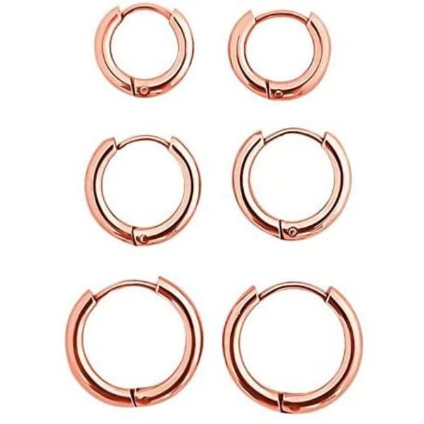 Brand X Hoop Ørepynt Kirurgisk Rustfritt Stål 8 Mm 10 Mm 12 Mm Rose Gold-8/10/12mm