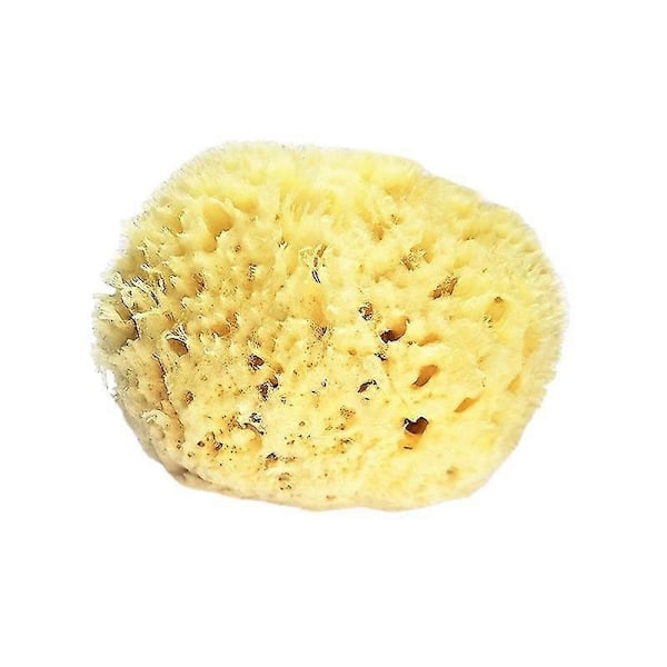 Sea Wool Sponge 3.0-3.5" (large) By Bath & Shower Express Natural Renewable Resource!