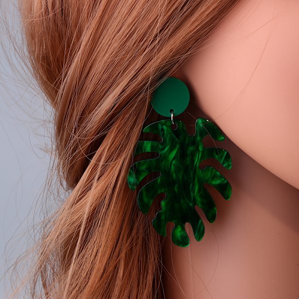 Øredobber Hjerte LGBTQ Regnbue Smykker Akryl Rustfrie Kroker. green acetate leaves