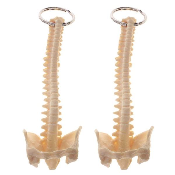 2 stk Mini håndlavet menneskelig rygrad skelet model nøglering skole undervisningsværktøj Elegant smuk nyhed nøglering sød til