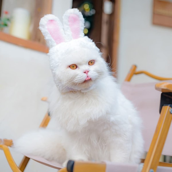 1 x Kattmössa, Husdjursmössa, Söt Kaninmössa för Hund och Katt (Vit